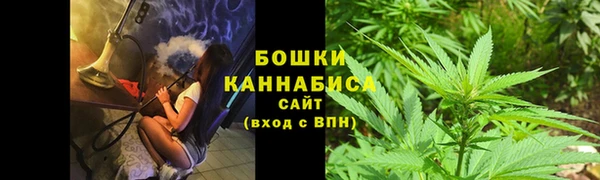 a pvp Белокуриха