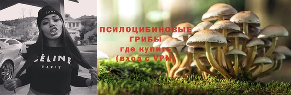 a pvp Белокуриха