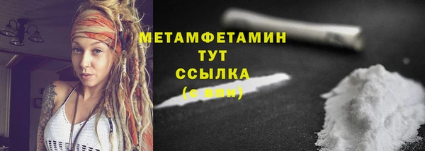 крисы Мегион