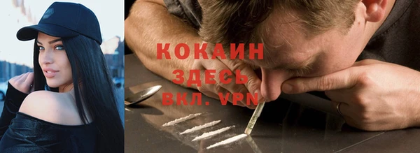 крисы Мегион