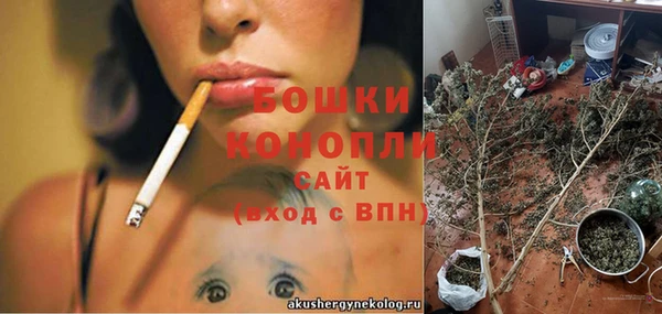 a pvp Белокуриха