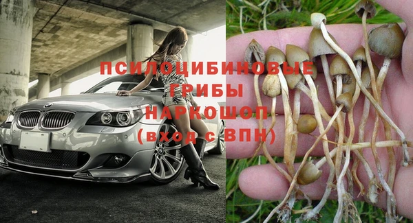 apvp Белоозёрский
