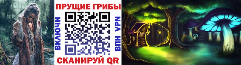 Галлюциногенные грибы Magic Shrooms  где купить   Электроугли 